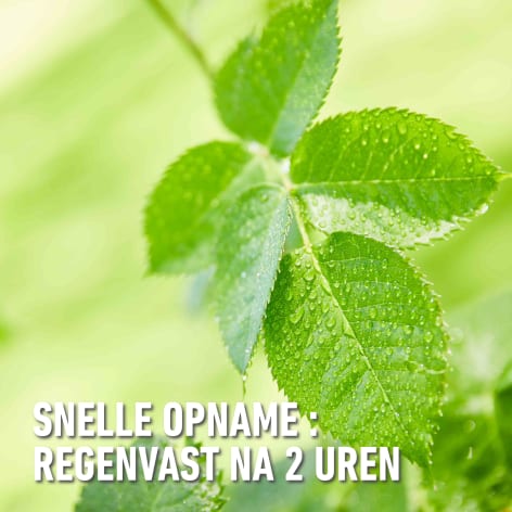 compo image