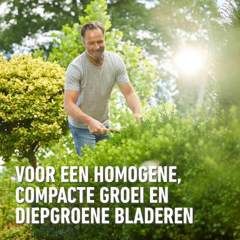 compo image