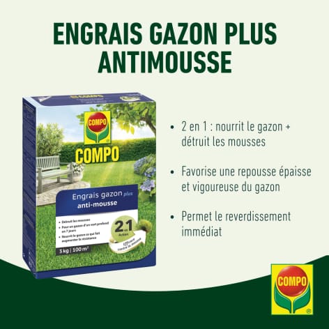 compo image