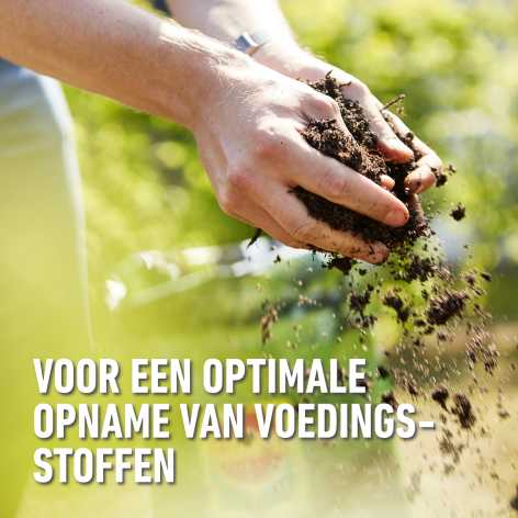 compo image