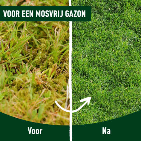 compo image