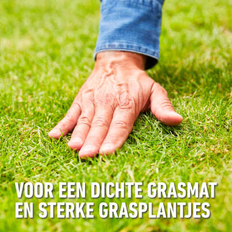 compo image
