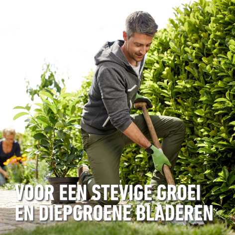 compo image