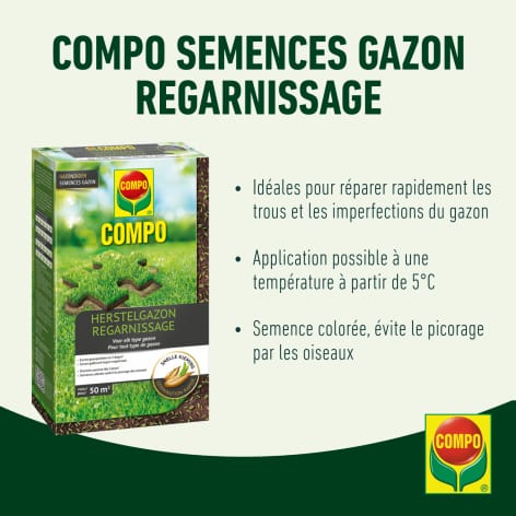 compo image