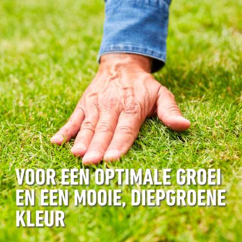 compo image