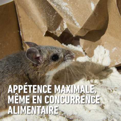 compo image