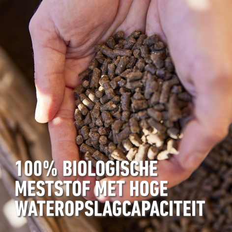 compo image