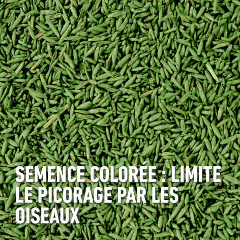 compo image