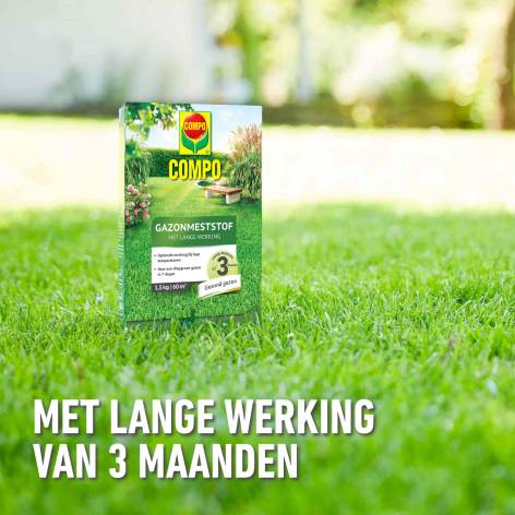 compo image