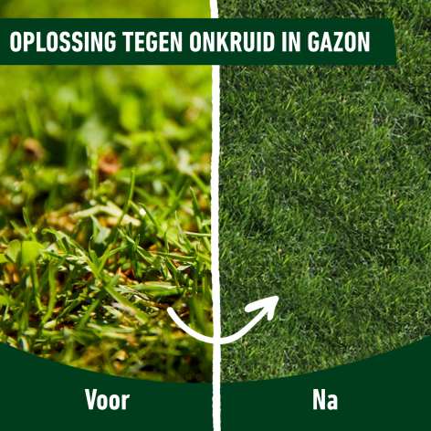 compo image