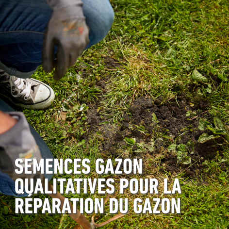 compo image