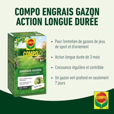 compo image