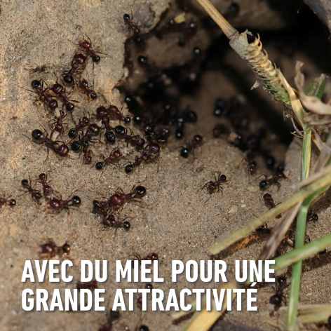compo image