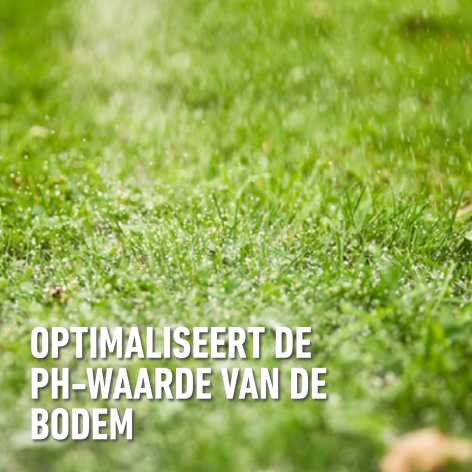 compo image
