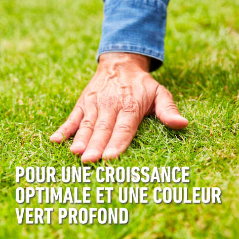 compo image