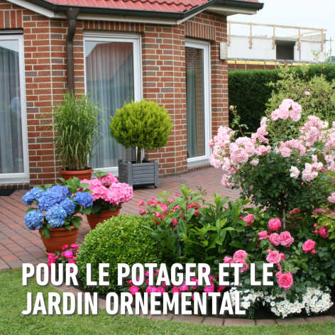 compo image