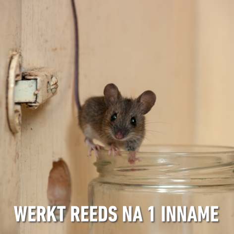 compo image
