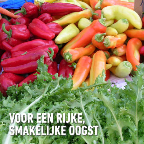 compo image