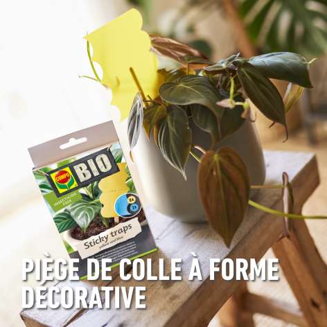 compo image