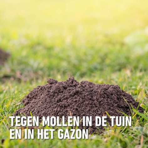 compo image