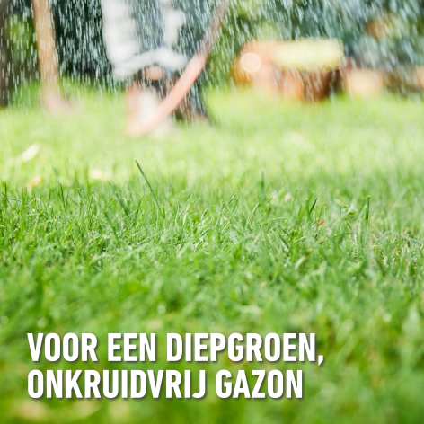 compo image