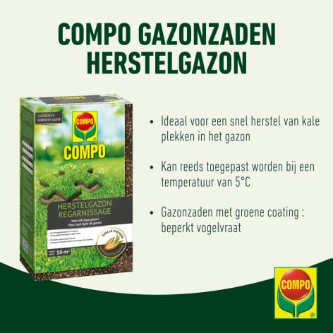compo image