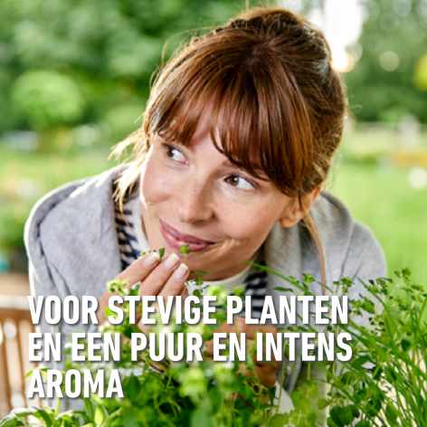 compo image