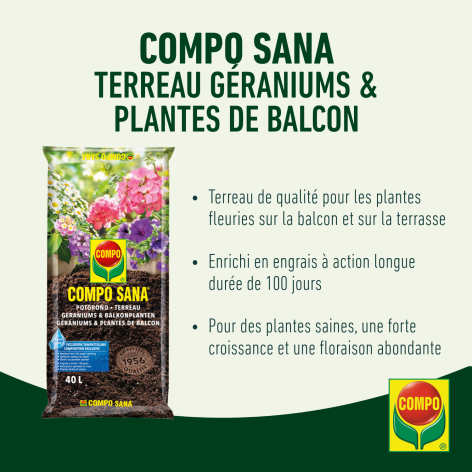 compo image