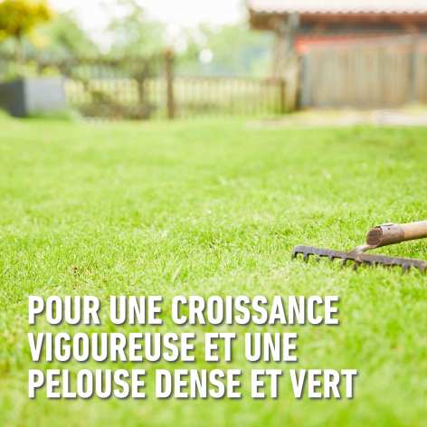 compo image