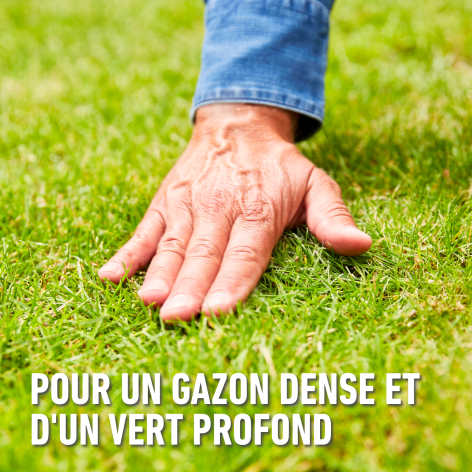 compo image