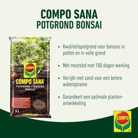 compo image
