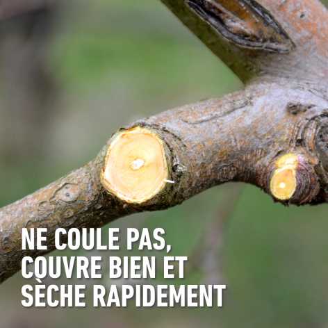 compo image