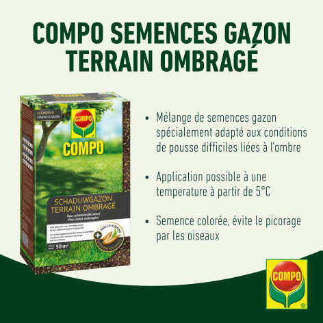 compo image