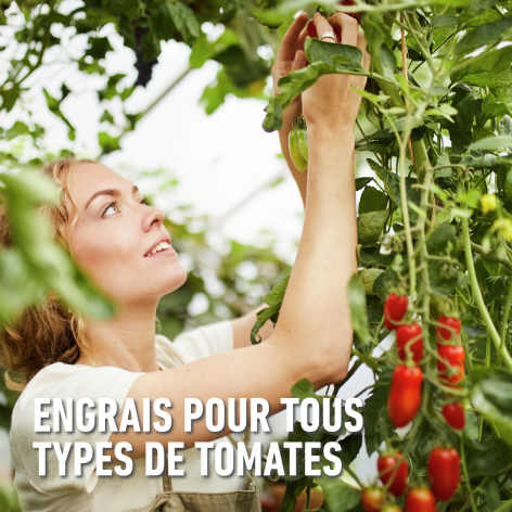 compo image