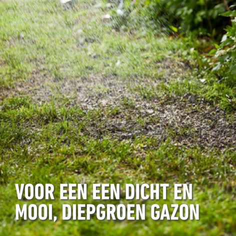 compo image