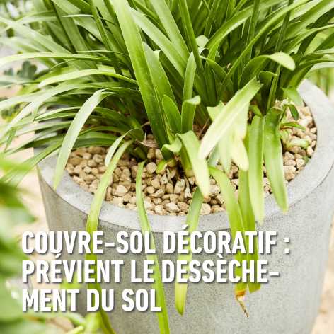 compo image