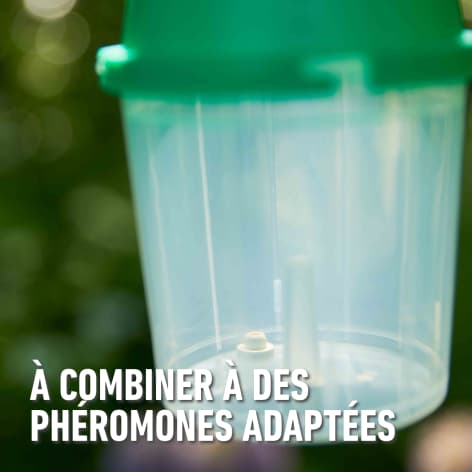 compo image
