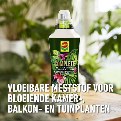 compo image