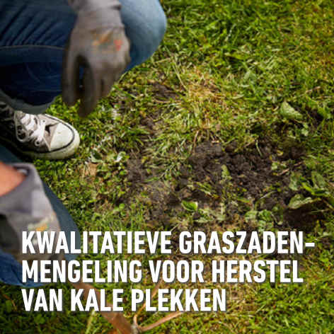 compo image
