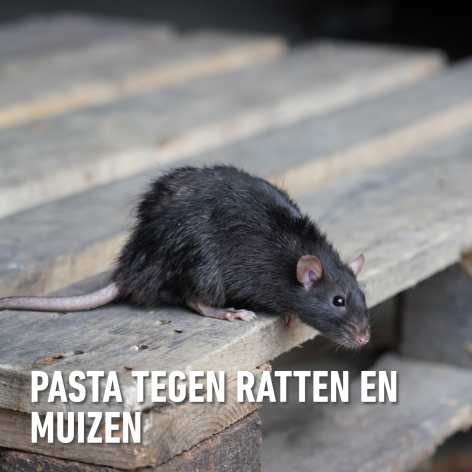 compo image