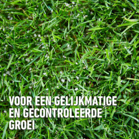 compo image