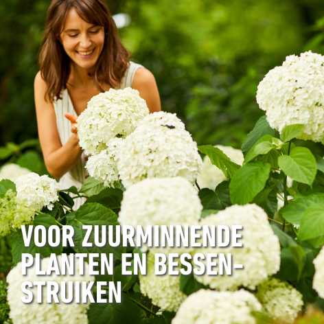 compo image