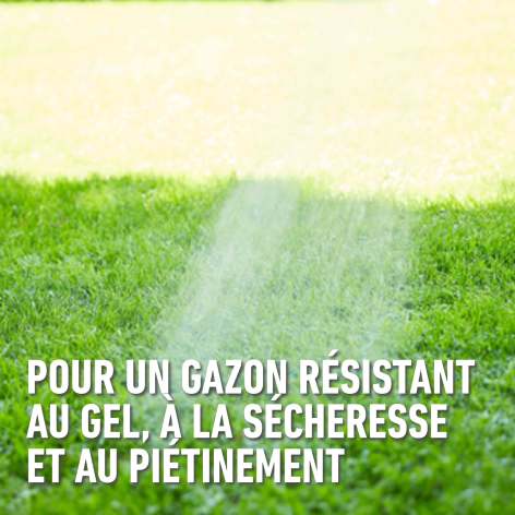 compo image