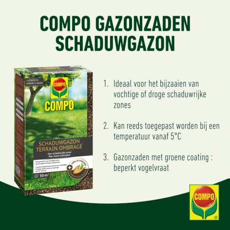 compo image