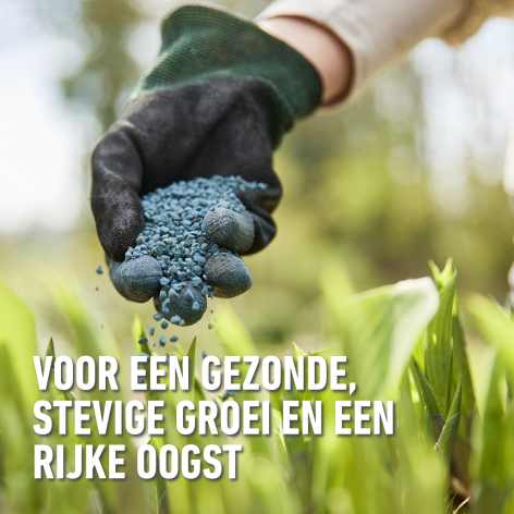compo image