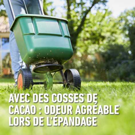 compo image