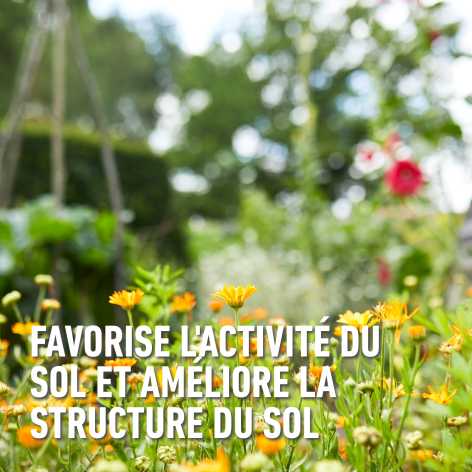 compo image