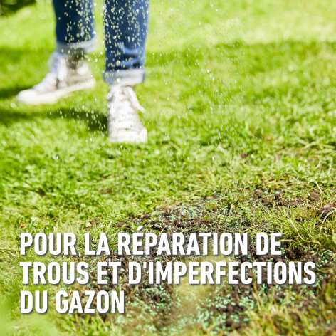 compo image