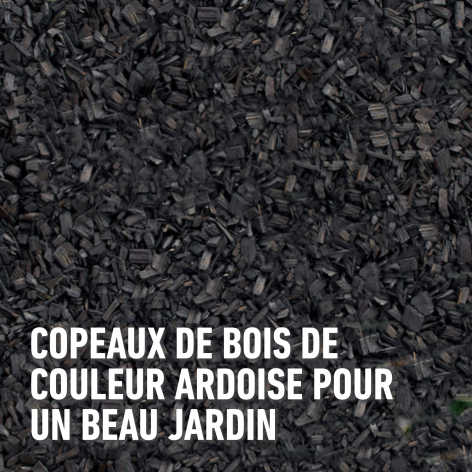 compo image