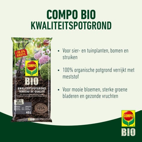 compo image
